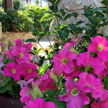 La Casita De Hortensias *